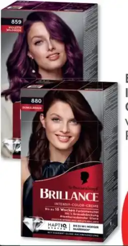 Budni Schwarzkopf Brillance Intensiv-Color Creme Angebot