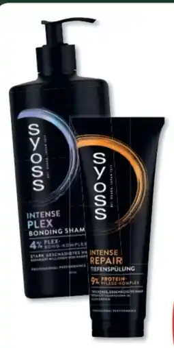 Budni Syoss Shampoo Angebot
