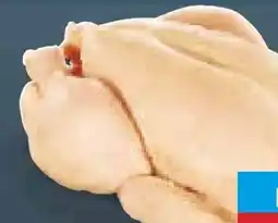 Netto Marken-Discount Mais-Hähnchen Angebot