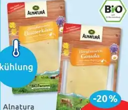 Budni Alnatura Scheibenkäse Angebot