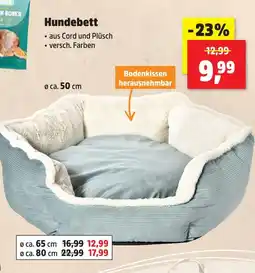 Thomas Philipps Hundebett Angebot