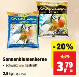 Thomas Philipps Sonnenblumenkerne schwarz Angebot