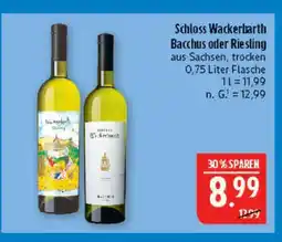 Marktkauf Schloss wackerbarth bacchus Angebot