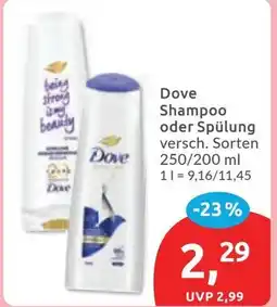 Budni Dove Shampoo oder Spülung Angebot