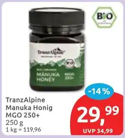 Budni TranzAlpine Manuka Honig MGO 250+ Angebot