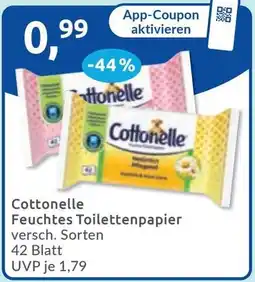 Budni Cottonelle Feuchtes Toilettenpapier Angebot