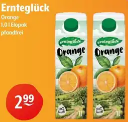 Getränke Hoffmann Ernteglück Orange Angebot