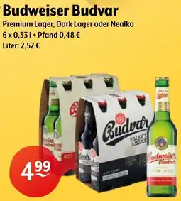 Getränke Hoffmann Budweiser Budvar Angebot