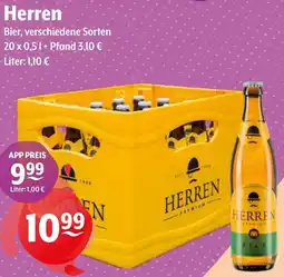 Getränke Hoffmann Herren Bier Angebot