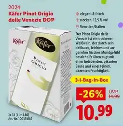 Lidl Käfer Pinot Grigio delle Venezie DOP Angebot