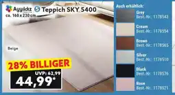 Norma Teppich SKY 5400 Angebot