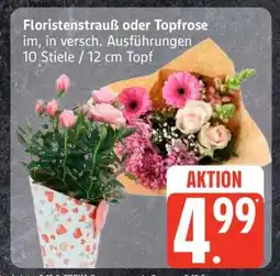 Edeka Floristenstrauß oder Topfrose Angebot