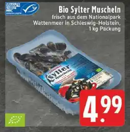 Edeka Bio Sylter Muscheln Angebot