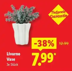 Lidl Livarno Vase Angebot