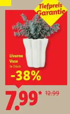 Lidl Livarno Vase Angebot