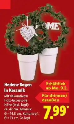 Lidl Hedera-Bogen in Keramik Angebot