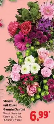 Lidl Strauß mit Rosen Germini Santini Angebot