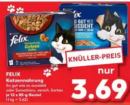 Kaufland felix Katzennahrung Angebot