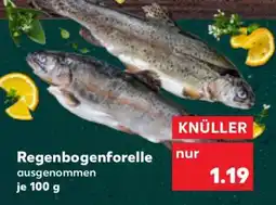 Kaufland Regenbogenforelle Angebot