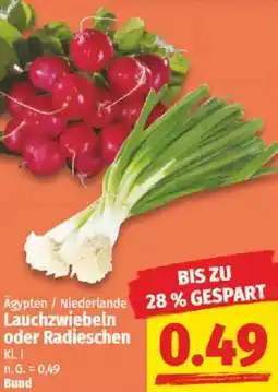 NP Discount Lauchzwiebeln oder Radieschen Angebot