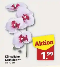Famila Nord Ost Künstliche Orchidee Angebot