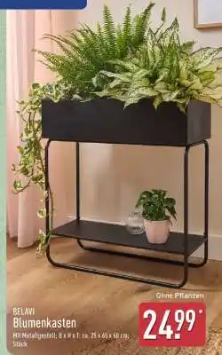Aldi Nord BELAVI Blumenkasten Angebot
