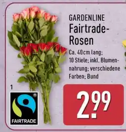 Aldi Nord GARDENLINE Fairtrade-Rosen Angebot