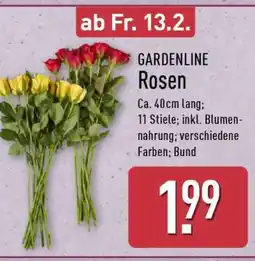 Aldi Nord GARDENLINE Rosen Angebot