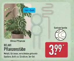 Aldi Nord BELAVI Pflanzenstäbe Angebot