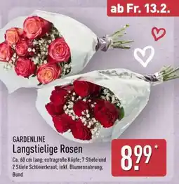 Aldi Nord GARDENLINE Langstielige Rosen Angebot