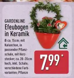 Aldi Nord GARDENLINE Efeubogen in Keramik Angebot