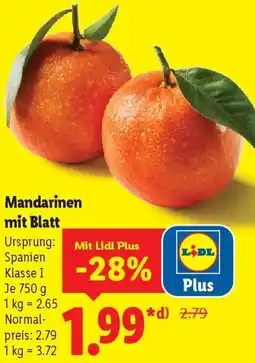 Lidl Mandarinen mit Blatt Angebot