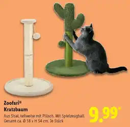 Lidl Zoofari Kratzbaum Angebot