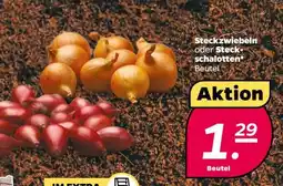 NETTO Steckzwiebeln oder Steckschalotten Angebot