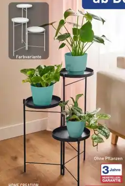 Aldi Nord Home Creation Pflanzenständer Angebot