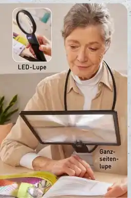 Aldi Nord Maginon LED-Lupe Angebot
