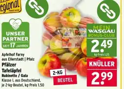Wasgau Pfälzer Tafeläpfel Rubinette/Gala Angebot