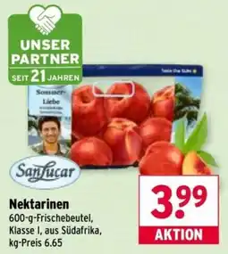 Wasgau SanLucar Nektarinen Angebot