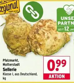 Wasgau Sellerie Angebot