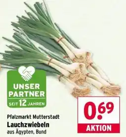 Wasgau Lauchzwiebeln Angebot
