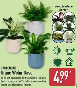 Aldi Nord GARDENLINE Grüne Wohn-Oase Angebot