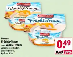 Wasgau Ehrmann Früchte-Traum oder Vanille-Traum Angebot