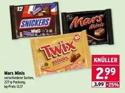 Wasgau Mars Minis Angebot