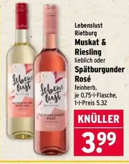 Wasgau Lebenslust Rietburg Muskat & Riesling lieblich oder Spätburgunder Rosé Angebot
