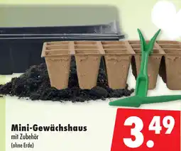 Mäc Geiz Mini-Gewächshaus Angebot