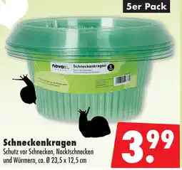 Mäc Geiz Schneckenkragen Angebot