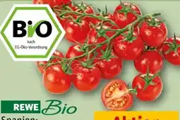 REWE Rewe Bio Mini Cherry Rispentomaten Angebot