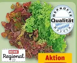 REWE Center Rewe Regional Wurzelsalate Salattrio Angebot