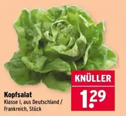 Wasgau Kopfsalat Angebot