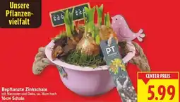 E-Center Bepflanzte Zinkschale Angebot